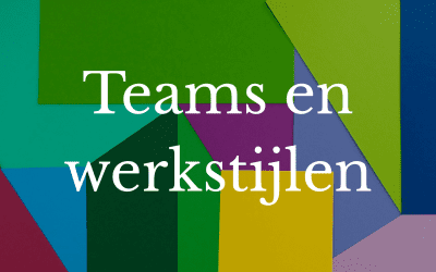 Beter samenwerken door inzicht in elkaars werkstijl