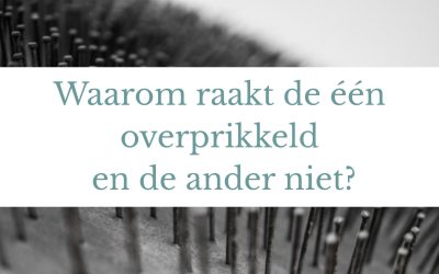 Waarom raakt de één overprikkeld raakt en de ander niet?