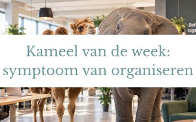 Van kameel naar olifant: symptoom van hoe we ons werk organiseren
